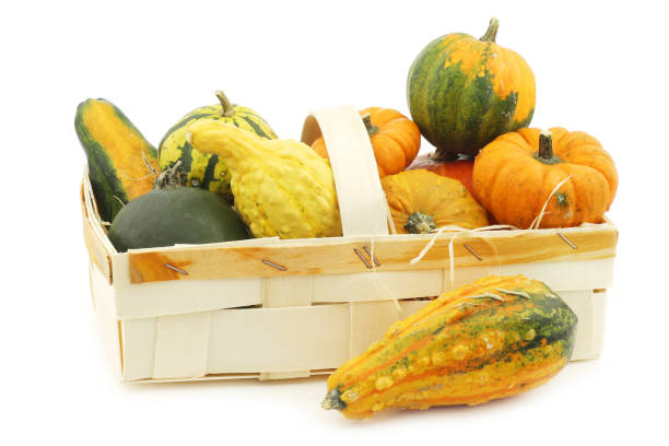istock colorful decorative pumpkins and straw in a woven basket 916468532