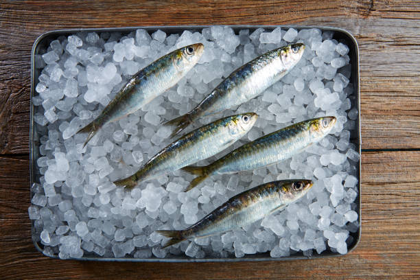 istock Sardines fresh fishes on ice 916471648