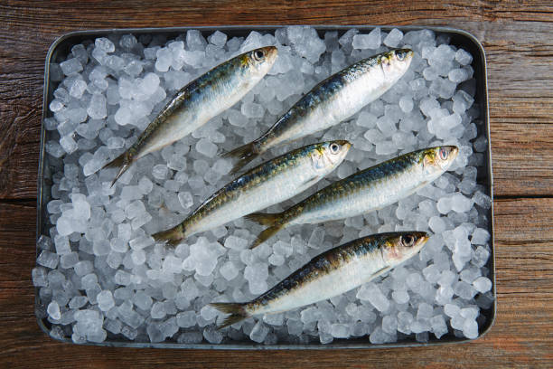 istock Sardines fresh fishes on ice 916471710