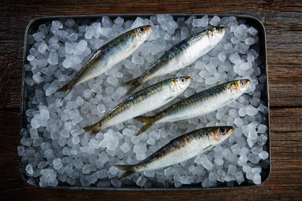 istock Sardines fresh fishes on ice 916471770