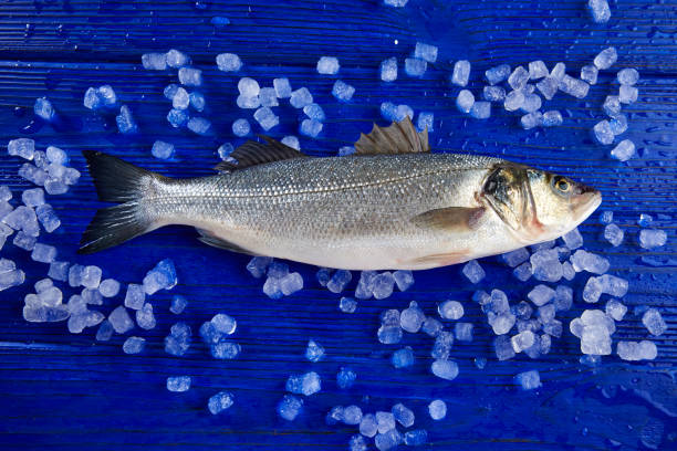 istock Seabass fresh fish on ice and wood 916472574