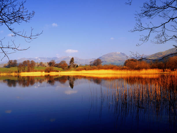 istock lake district national park cumbria england uk 916475996