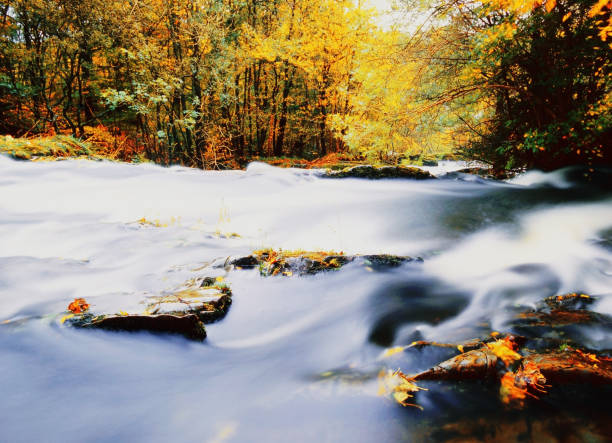 Plitvice Lakes in Croatia during autumn, showcasing stunning waterfalls, vibrant foliage, and crystal-clear waters, creating a magical and serene natural landscape perfect for nature lovers.