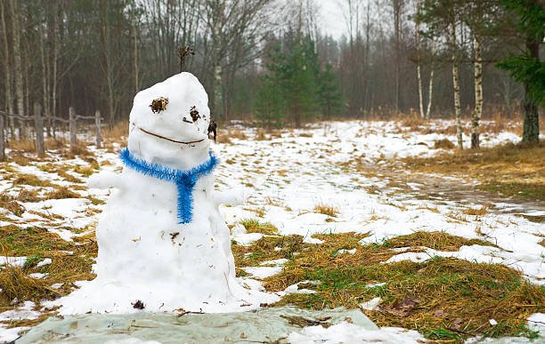 melt muñeco de nieve de - melting snowman winter spring fotografías e imágenes de stock