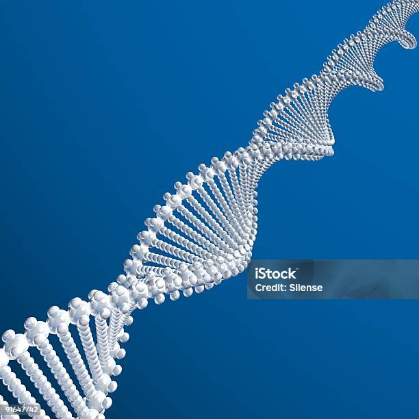 Photo libre de droit de Modèle Dadn banque d'images et plus d'images libres de droit de ADN - ADN, Chaîne d'ADN modélisée, Perle de culture