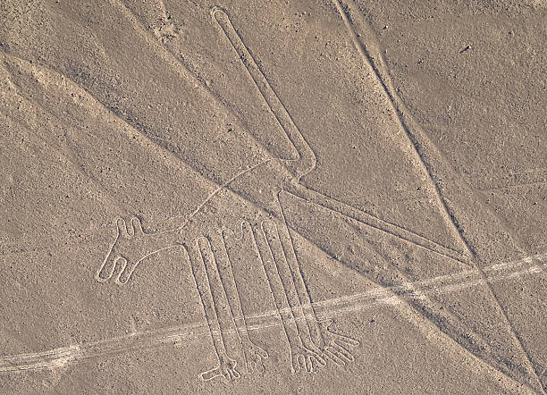 rysunki z nazca peruwiańska desert - floating of ice zdjęcia i obrazy z banku zdjęć