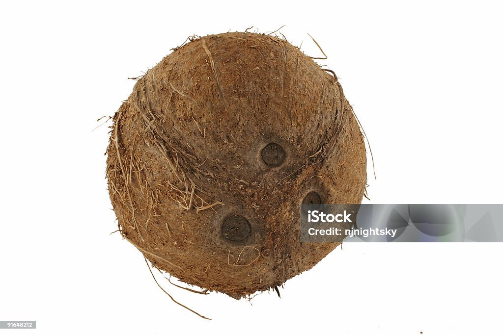 Isolated coconut on white background  Coconut Stock Photo