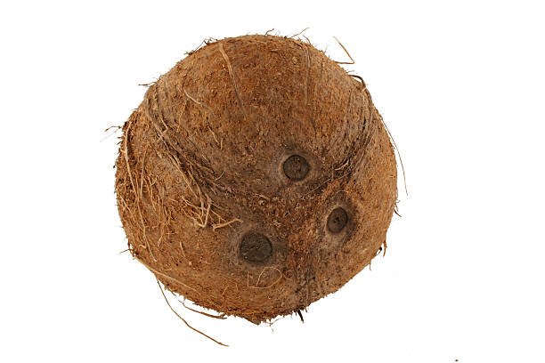 De coco isolada no fundo branco - fotografia de stock