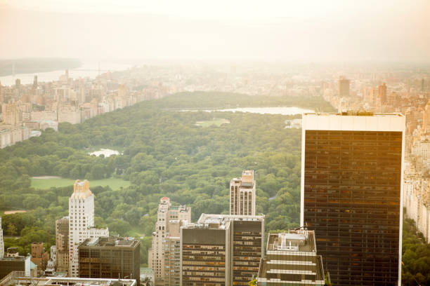 istock Central park in new york city 916482288