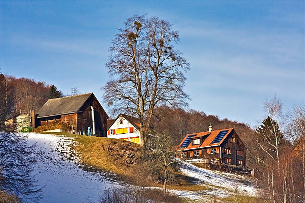 case svizzera - berne canton switzerland landscape travel foto e immagini stock