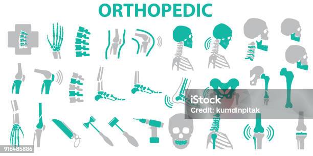 Orthopédique Et La Colonne Vertébrale Symbole Set Vector Illustration Eps 10 Symboles De Vecteur Mono Vecteurs libres de droits et plus d'images vectorielles de Icône