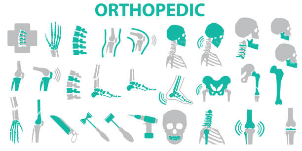 symbol ortopedyczny i kolczasty set - ilustracja wektorowa eps 10 , symbole wektorowe mono - kostka ręka człowieka stock illustrations