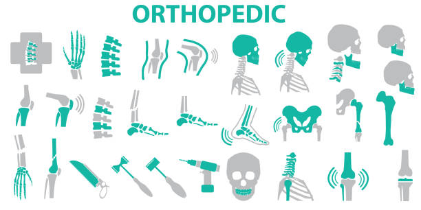 Orthopedic and spine symbol Set - vector illustration eps 10 , mono vector symbols Orthopedic and spine symbol Set - vector illustration eps 10 , mono vector symbols knee to the head pose stock illustrations