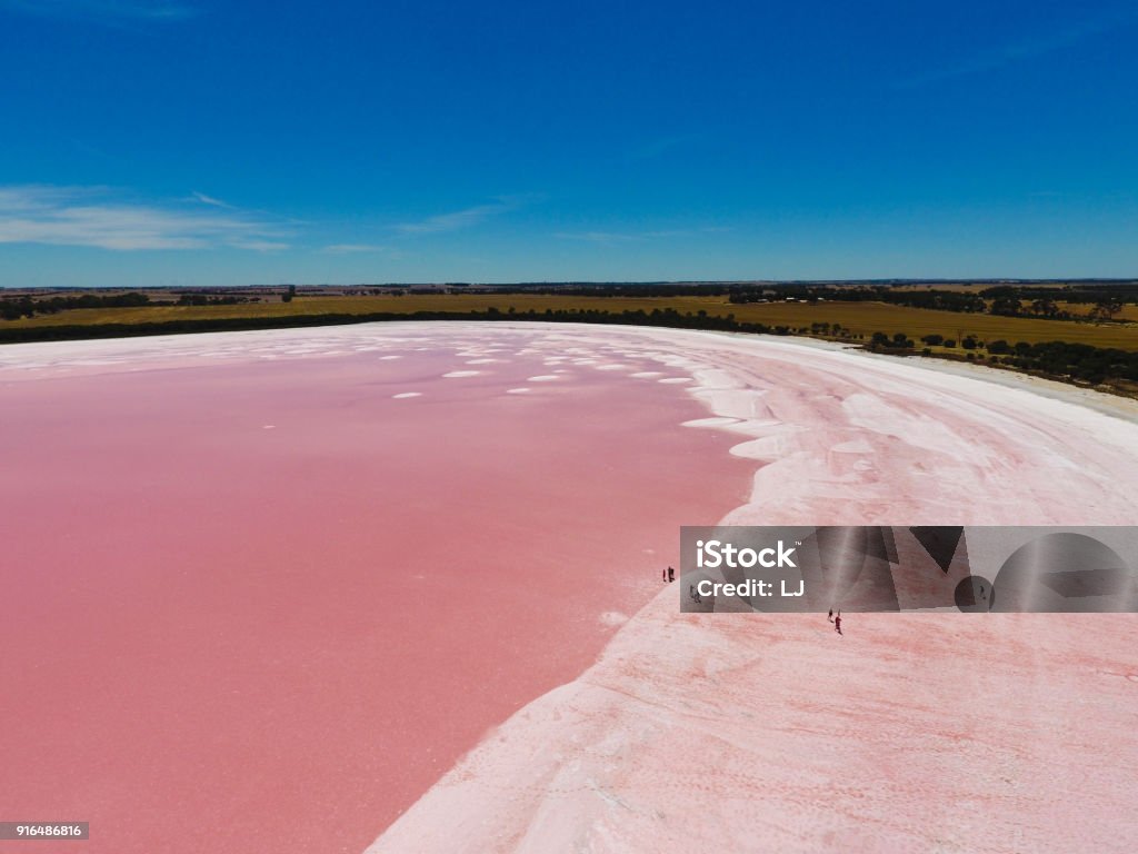 Pink Lake Picture taken in south Australia Lake Stock Photo