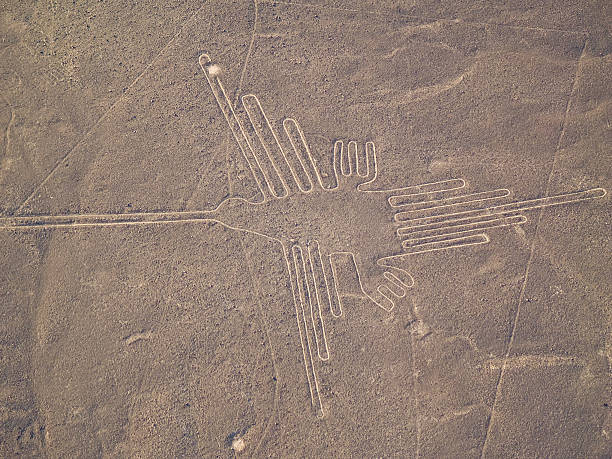 líneas de nazca peruano desierto - prehistoric art fotos fotografías e imágenes de stock