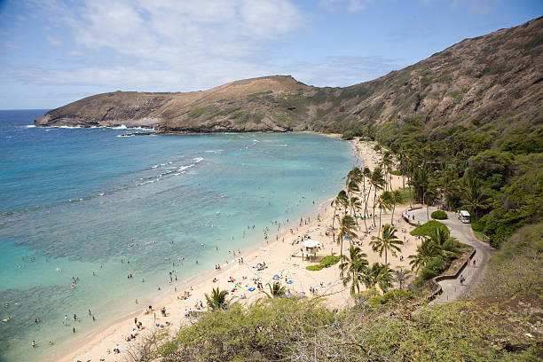 istock Hanauma Bay Nature Preserve - Southeast 91649194