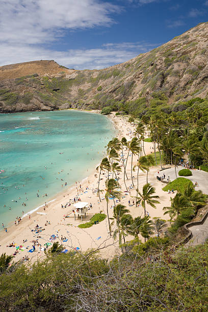istock Hanauma Bay Nature Preserve 3 91649215