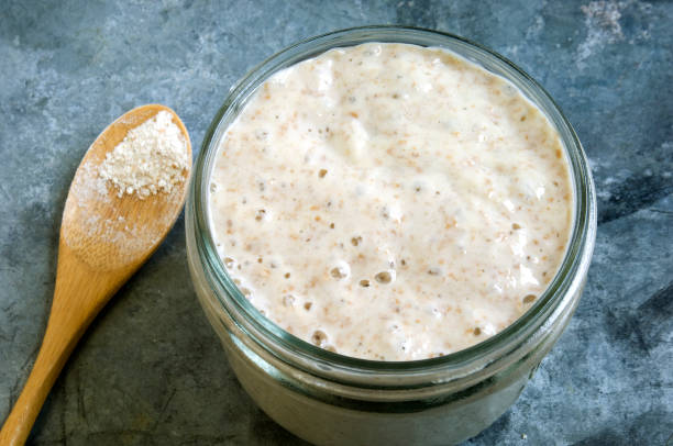 Wholewheat Sourdough Starter A closeup of sourdough starter with wooden spoon and wholewheat flour on metal table top. yeast starter stock pictures, royalty-free photos & images