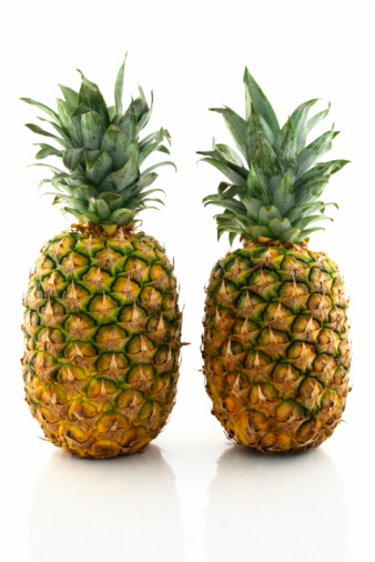 Two ripe pineapples reflecting on white background.