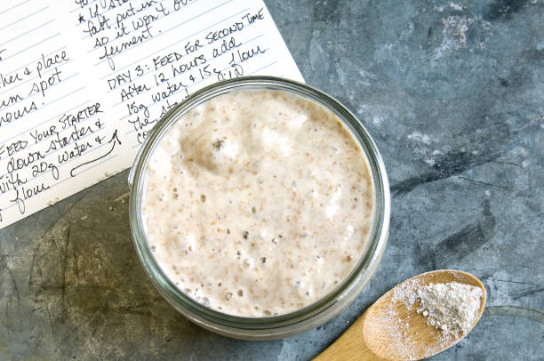 Wholewheat Sourdough Starter with Recipe A jar of wholewheat sourdough starter on metal table with recipe and wooden spoon with wholewheat flour. yeast starter stock pictures, royalty-free photos & images