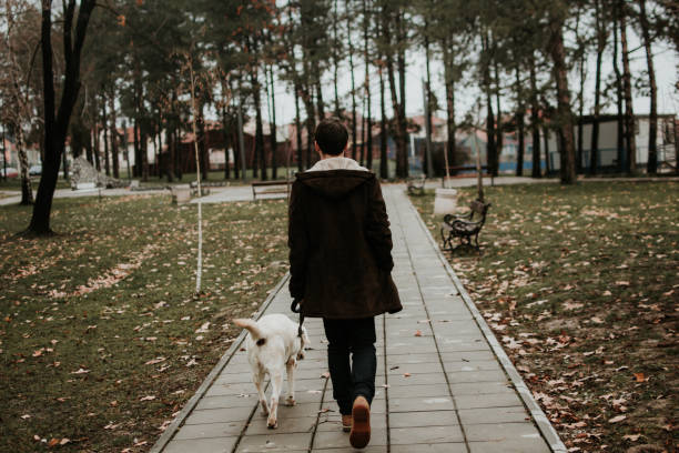 istock Dog and his owner walking in park 916496906
