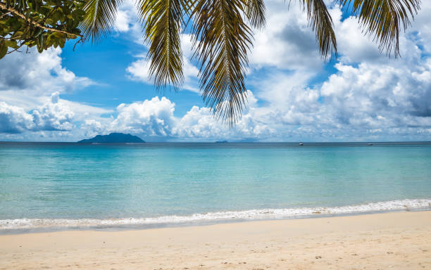 istock Tropical island beach. Perfect vacation background. 916497328