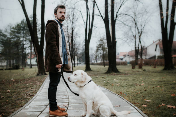 istock Handsome bearded man with his labrador retriever 916497434