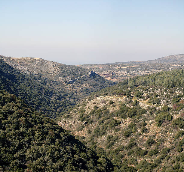 istock Woody slopes of mountain 91649760