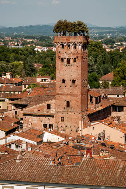 istock Guinigi Tower. Lucca. Italy, Italy 916497836