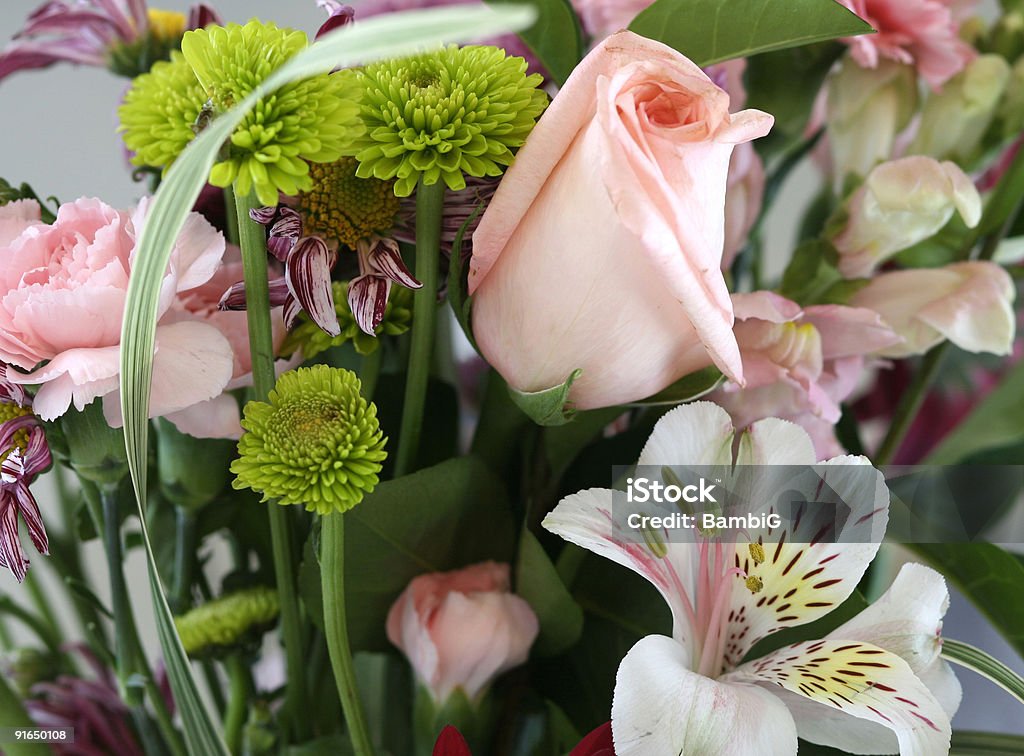 Frühling-Bouquet - Lizenzfrei Blume Stock-Foto