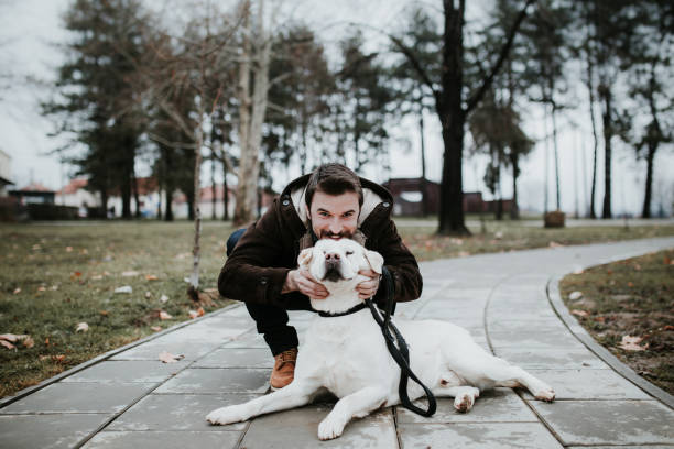 istock Beside Me, My Friend 916504518