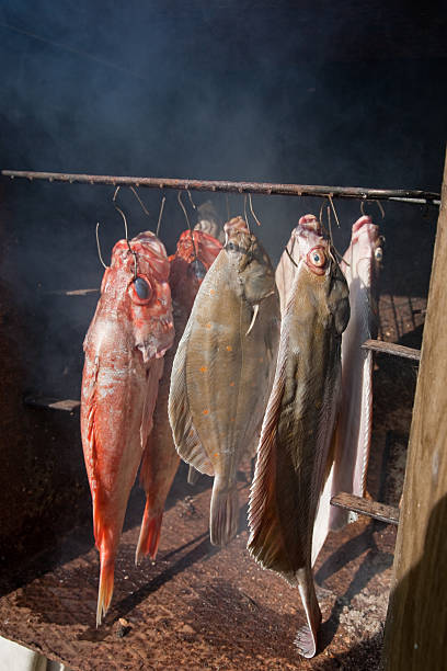 fisch und meeresfrüchte - halibut flatfish fish hanging stock-fotos und bilder