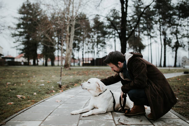 istock Beside Me, My Friend 916506166