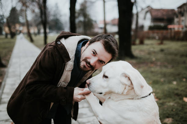 istock Dog and his owner walking in park 916506264