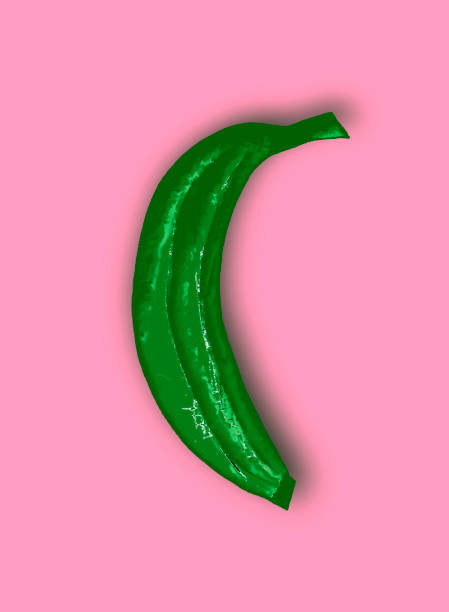 minimalism illustration of green banana on pastel pink background vector art illustration