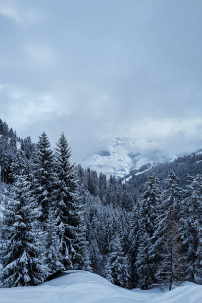 Beautiful winter mountains with stormy weather in the Austrian Alps