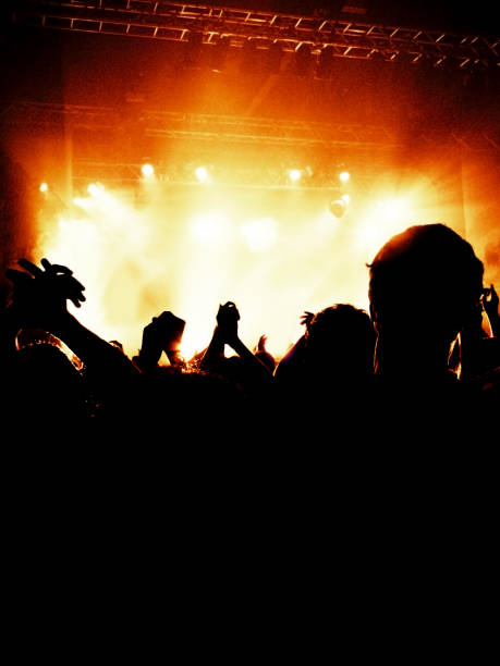 istock Concert crowd in front of a live stage 916515618
