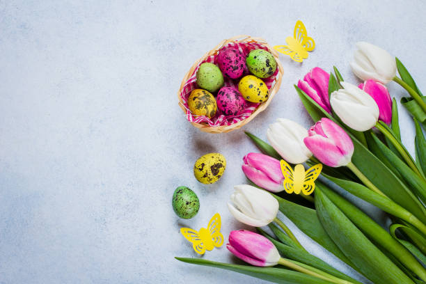 istock Easter Background with white and pink tulips and colorful quail eggs on blue stone table background. Spring Greeting card. Top view, flat lay, copy space. 916515874