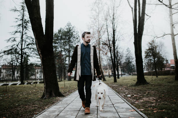 istock Man and his dog in their daily routine 916519048