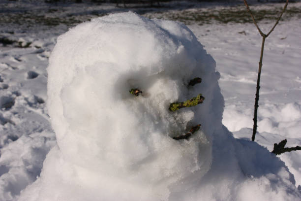 istock Snowman in a park in winter 916519132