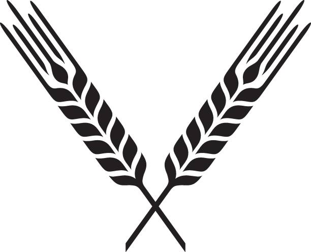 ilustrações de stock, clip art, desenhos animados e ícones de green icons 1b - cevada