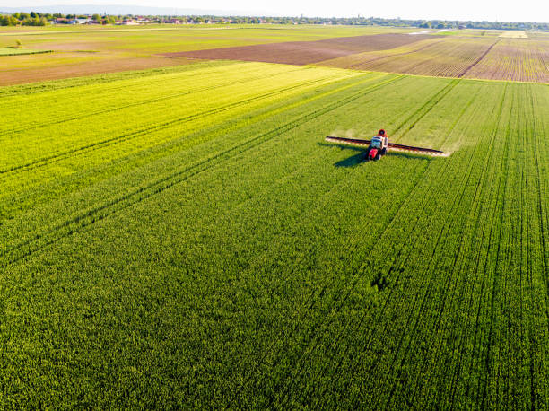 istock Farmer spraying green wheat field 916526946