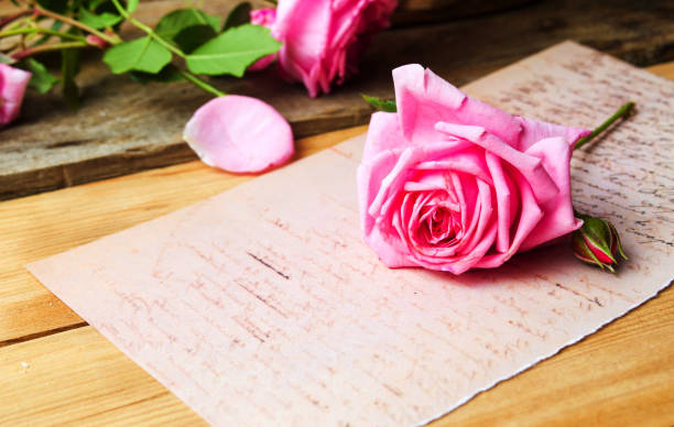 istock Pink roses on a vintage paper 916527808