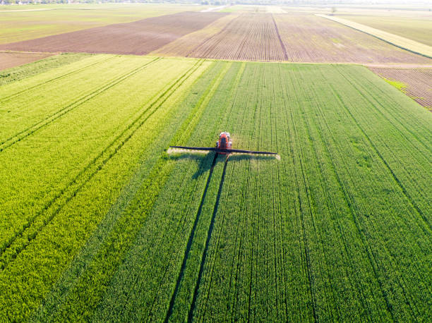 istock Farmer spraying green wheat field 916529910