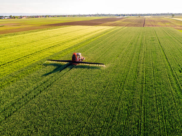 agricoltore che spruzza campo di grano verde - spraying agriculture farm herbicide foto e immagini stock