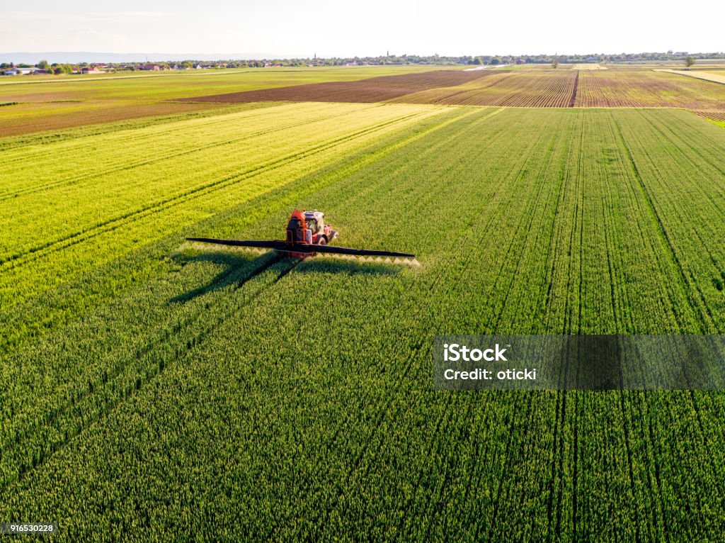 Farmer spraying green wheat field Tractor Stock Photo