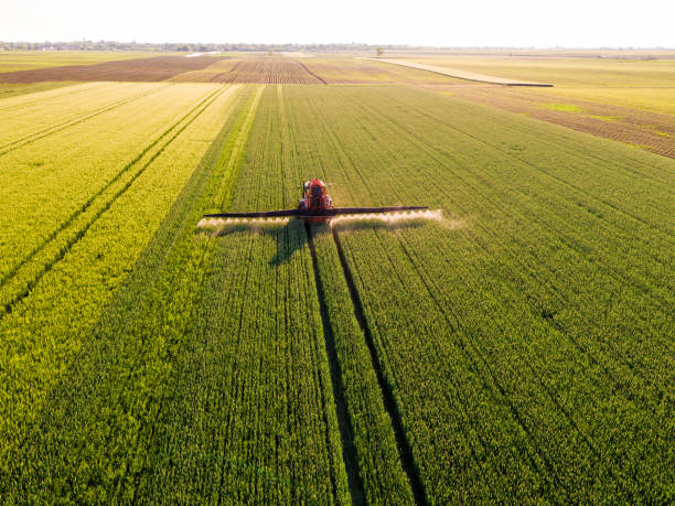istock Farmer spraying green wheat field 916531142