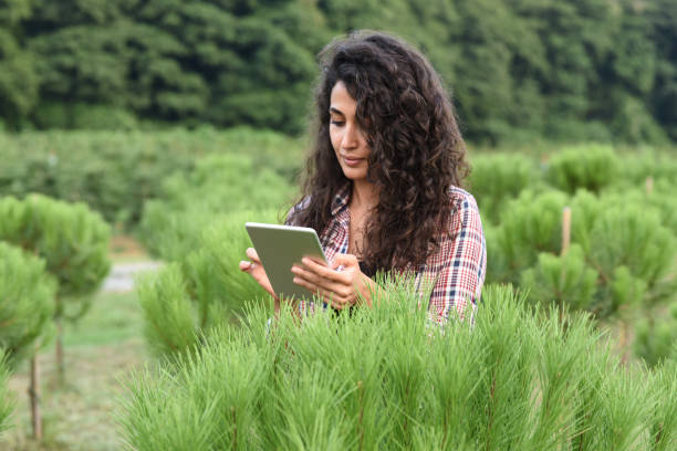 istock Young female farmer researching plants with digital tablet 916534484