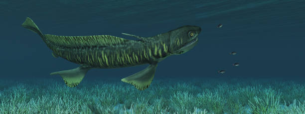 istock Prehistoric shark Orthacanthus 916536630