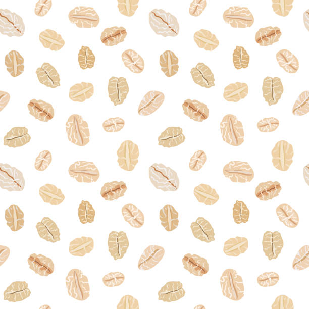 bezszwowy wzór z płatkami owsiany na białym tle. wektor ręcznie rysowane ilustracji. - oat cereal plant oat flake backgrounds stock illustrations
